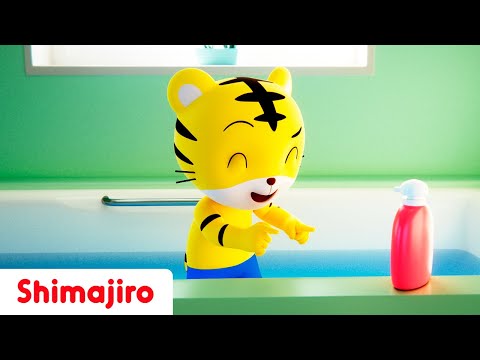 Splish Splash Fun! 🛁🌊 | Learning Bath Time with Shimajiro 🫧💧| Songs for Kids 🎶