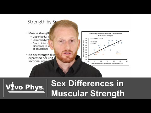 Sex Differences in Muscular Strength