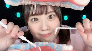 【ASMR】歯医者さんロールプレイ｜あなたの歯石をお掃除します【dentist role play】#asmr #音フェチ #roleplay