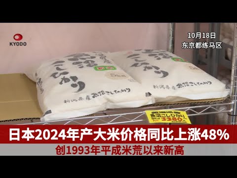 日本2024年产大米价格创31年来新高