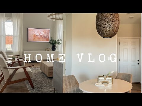 Decor finds | Home Decorating | New light bigger than my dog