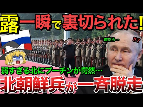 【ゆっくり解説】北朝鮮兵18名が戦場から逃亡！ロシアの作戦に衝撃の展開