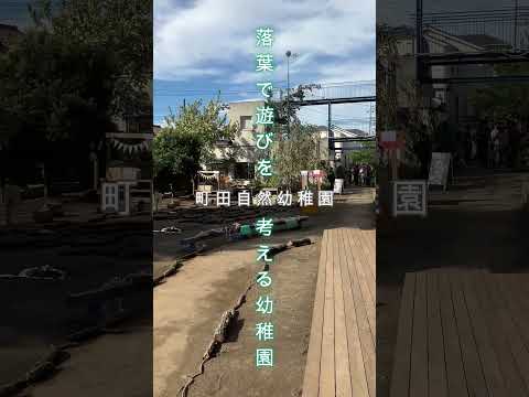 【町田自然幼稚園】落葉で遊びを考える幼稚園