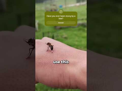 Pov: Have you ever been stung by a bee? #trending #fyp #shorts #bee