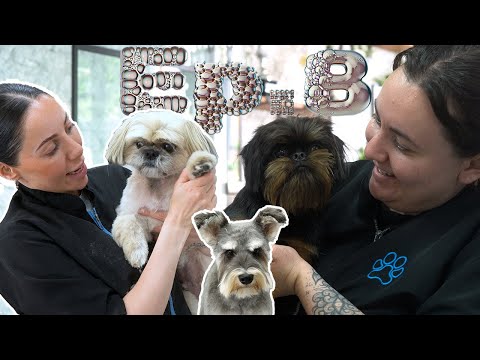 Day in the Life of a Dog Groomer | Today at Hackney Barkers: Ep 8