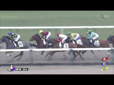 2022/10/23　バンブーグローブ　新馬戦