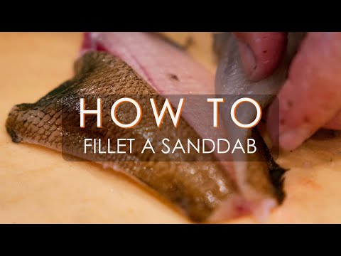 How To Fillet a Sanddab | by chef Anthony Pascale