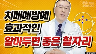 치매 예방에 도움을 주는 뇌 혈자리 지압법ㅣ뇌 혈관 질환 예방하기