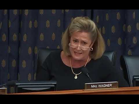 Wagner Speaks at MENAIT - APNP Joint Subcommittee Hearing