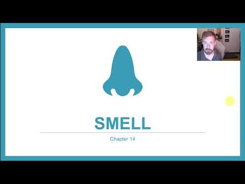 PSYC 359: Chapter 14: Olfaction (smell, epithelium, anosmia, adaptation, chemosignals)