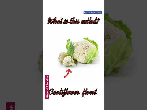 Do you know what is this called? |learn interesting food vocabulary #english#vocabulary#shortsvideo