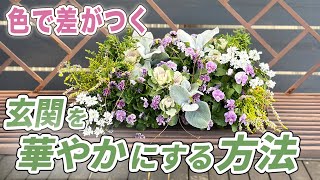 【まだ間に合う‼︎】ビオラ・ハボタンを使って早春まで楽しめる寄せ植えをご紹介します♪【初心者向け】【ガーデニング】【園芸チャンネル】