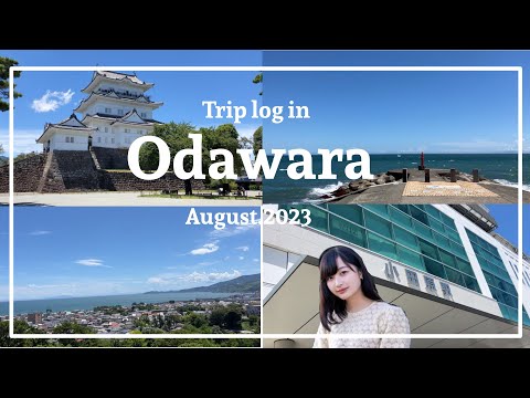 【Vlog】女子大生が小田原に一人旅行ってみた【小田原】【観光】【クラクラ】