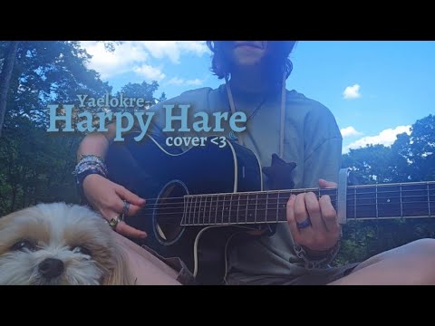 Yaelokre - Harpy Hare || Acoustic Cover (ft. my dog)