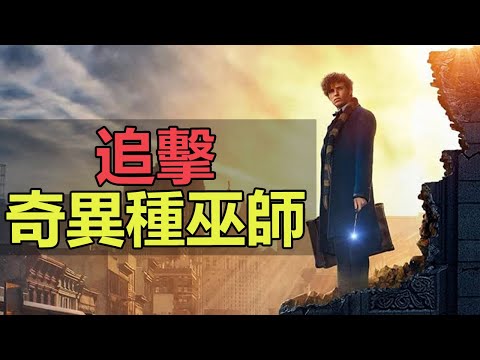 【神奇/怪獸03】解析百年一見的奇異種巫師 - 默然者！