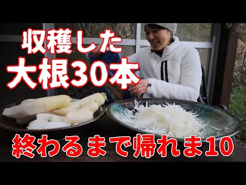 【大量消費】収穫した大根30本を保存食を作って使い切るまで終われない！