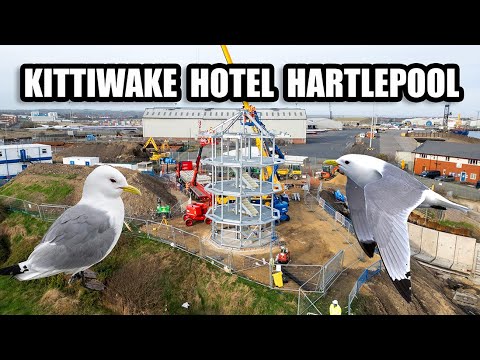 Kittiwake Hotel in Hartlepool