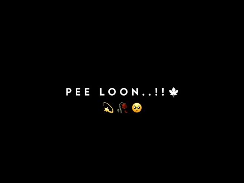 🍁Pee Loon Tere Neele..!! [ 𝐃𝐨𝐰𝐧𝐥𝐨𝐚𝐝 ⬇️ 𝐋𝐢𝐧𝐤 ] Black Screen Lyrics Status Video ||#black_screen