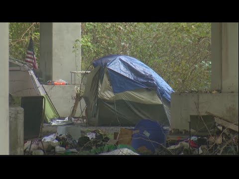 Chatham County Commission weighing proposal that would criminalize urban camping