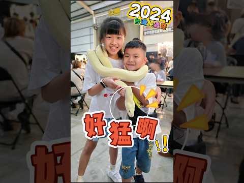 今年秋冬最新款蟒蛇圍巾😬2024台灣爬蟲祭！