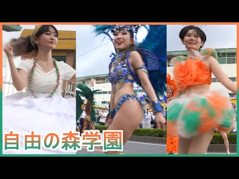 4K 自由の森学園 サンバ 高校生 たたら祭り 2024 Samba Japanese 삼바 桑巴舞