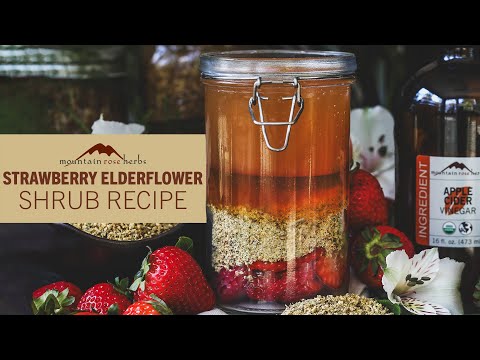 Strawberry Elderflower Shrub Recipe