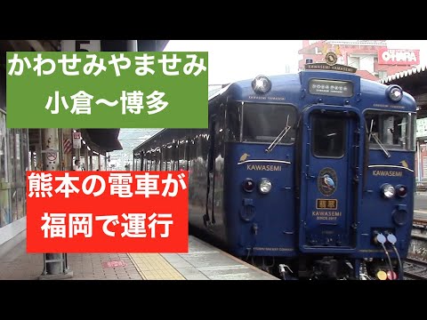 【特別運行】「かわせみやませみ」に乗車　　思わぬ落とし穴が！？　乗車時の注意も解説