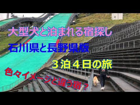 GO TOもあったので今回ゴールデンレトリバーの犬サービスで大型犬が泊まれる宿を探して３泊４日で石川県の白山苑、石川県の湖月館、長野県白馬のグラス　ハウスに行ってきました。ゴールデンリバーが可愛い