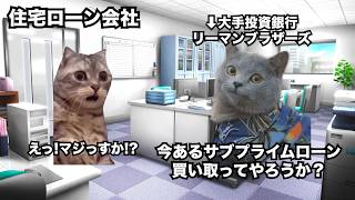 【リーマンショック】なぜ100年に1度の経済危機は起きたのか？ #猫マニ #猫ミーム