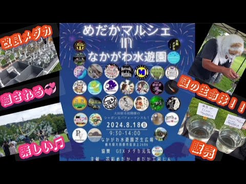 【第二弾】めだかマルシェinなかがわ水遊園 癒される、楽しい♫謎の生命体！めだか販売 #メダカ #めだか #改良メダカ #メダカ専門店  #メダ活 #めだか愛好家 #マルシェ #めだか好き