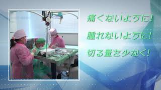 インプラント 痛い｜東京の名医日本橋インプラント玉木仁院長