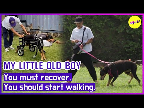 [MY LITTLE OLD BOY] You must recover, You should start walking. (ENGSUB)