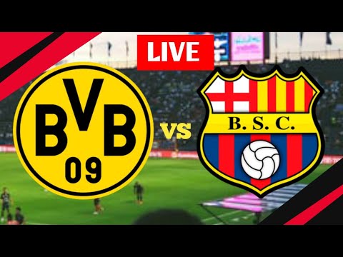 Borussia Dortmund U19 gegen Barcelona SC Live-Fußballergebnis-Ergebnis| Jugendliga| 2024