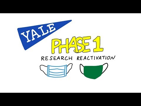 Yale Phase 1 Research Reactivation For COVID19: An Illustrated Summary