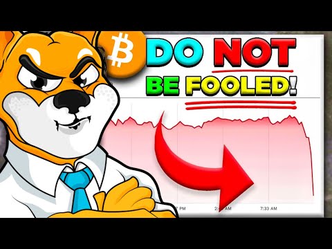 Why is Bitcoin Price Up Today? Bull Run or Bull Trap, What Next For BTC Price?