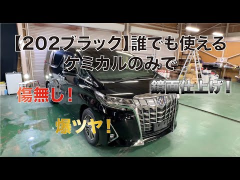 【徹底ディティーリング】誰でもトヨタ202をガチプロ仕上げに出来ます！業者が教える1〜100まで！