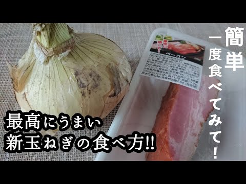 【新玉ねぎとベーコンのマリネ】すべての新玉ねぎ好きたちに捧げます/新玉ねぎと焼いたベーコンの相性は抜群にうまい！