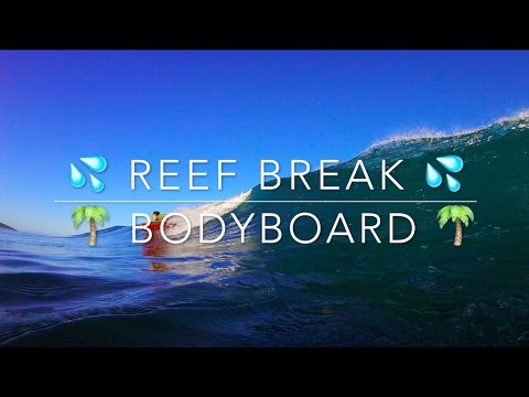 Secret Reefy Session