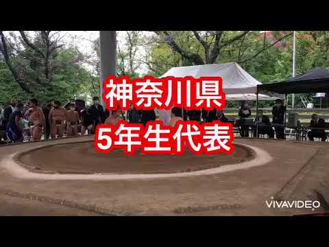 【わんぱく相撲】関東小学生相撲大会in川崎富士見相撲場💪神奈川県代表😃2021.10.17(日)【葵相撲道場】