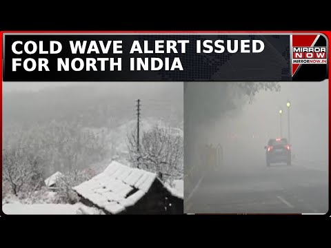 Delhi GRAP 4 Restrictions Lifted,  Cold Wave To Persist In North India, Alert Issued | Top News