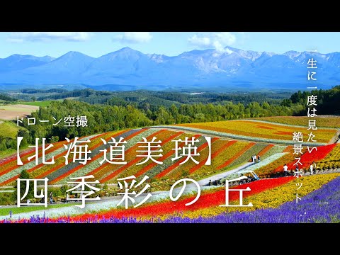 【北海道 美瑛】 四季彩の丘  一生に一度は見たい絶景 ドローン空撮