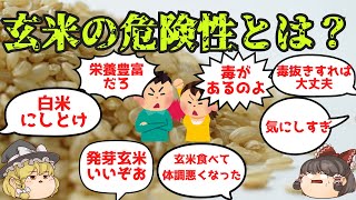 【ゆっくり解説】玄米・分つき米は危険？毒がある？体調悪くなる？