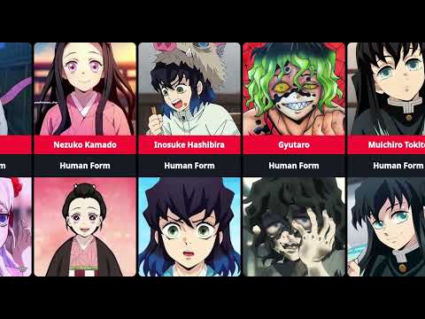 Demon Slayer Characters as a Humans