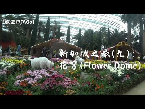 【旅遊趴趴Go】新加坡之旅(九)：花穹(Flower Dome)