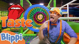 Blippi Learns The 5 Senses! | Educational Videos for Toddlers