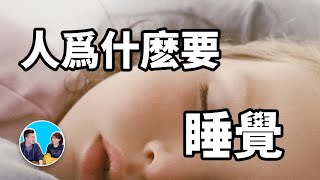 你每天都做這件事，但你真的知道自己在做什麽嗎 | 老高與小茉 Mr & Mrs Gao