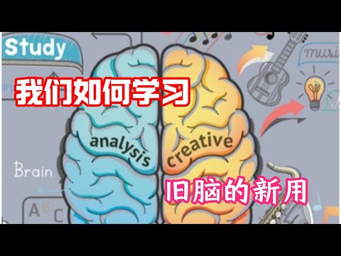 我们如何学习：旧脑的新用