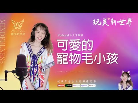 《玩美新世界 #53》可愛的寵物毛小孩 ☆ 生活正念療癒美學