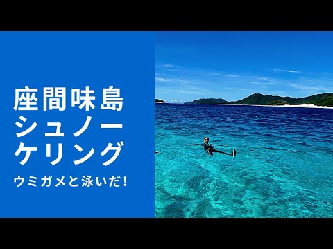 【沖縄移住】座間味島シュノーケリング〜ウミガメと泳いだ！〜坂田公太郎＆佐々妙美