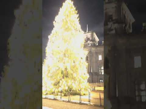 Weihnachten in Berlin #holidayswithyoutube #weihnachten #berlin #weihnachtsbaum